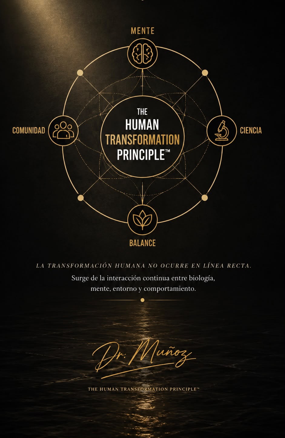 Mapa visual del Human Transformation Principle